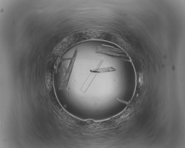 X0000080700867200612221115