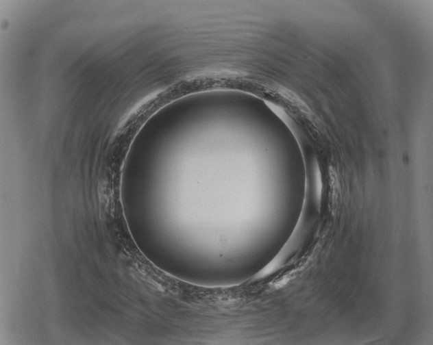 X0000080700872200612221115