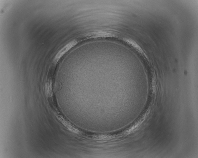 X0000080700873200612221115
