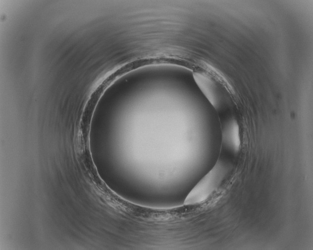 X0000080700876200612221115
