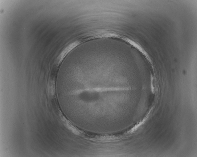 X0000080700889200612221115