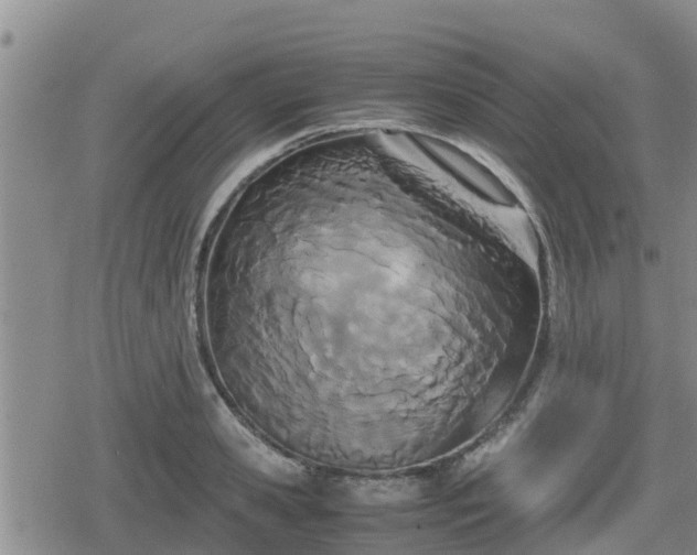 X0000080700941200612221114
