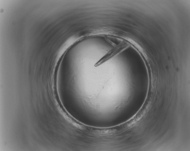 X0000080700949200612221114