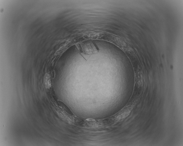 X0000080700962200612221114