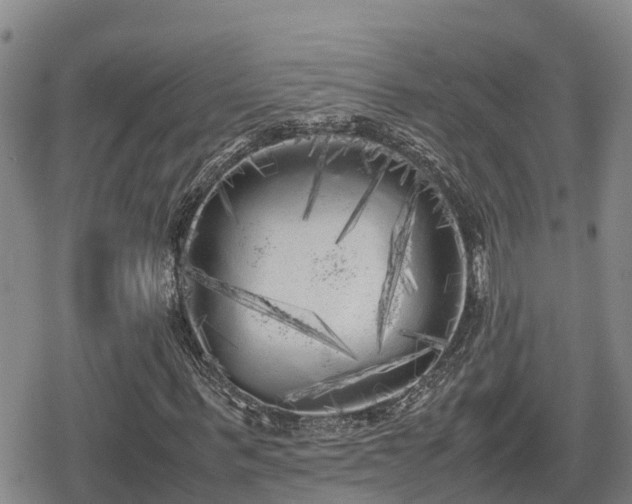 X0000080700963200612221113