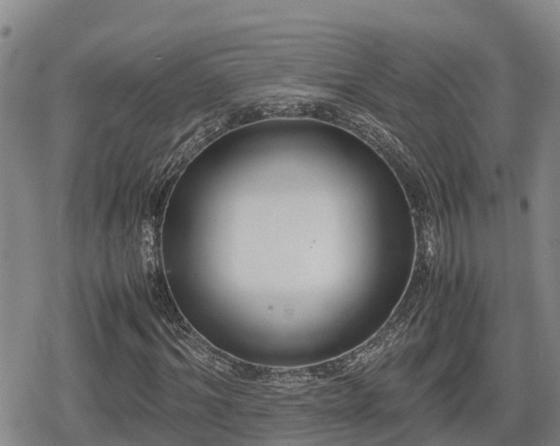 X0000080700964200612221113