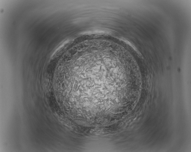 X0000080700967200612221113