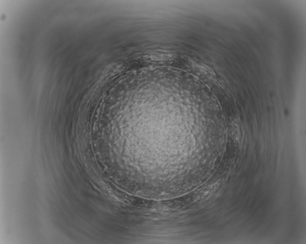 X0000080701009200612221112