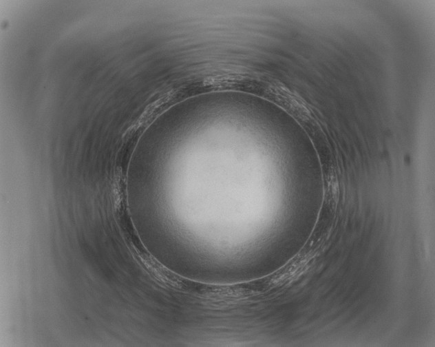 X0000080701012200612221112