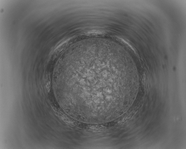 X0000080701015200612221112