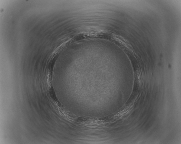 X0000080701060200612221112