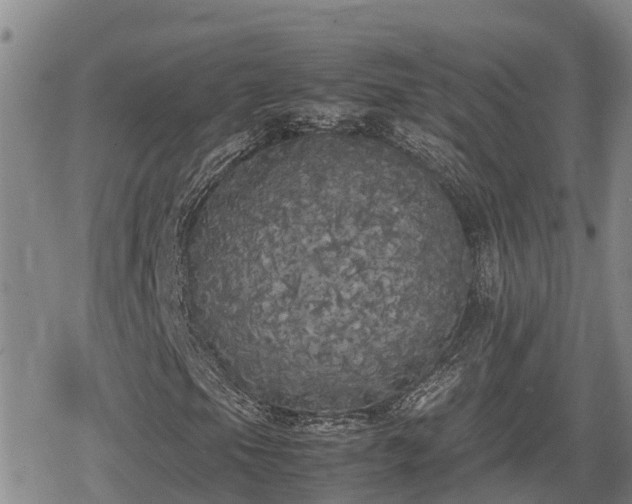 X0000080701105200612221110