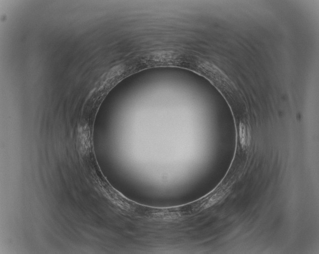 X0000080701107200612221110