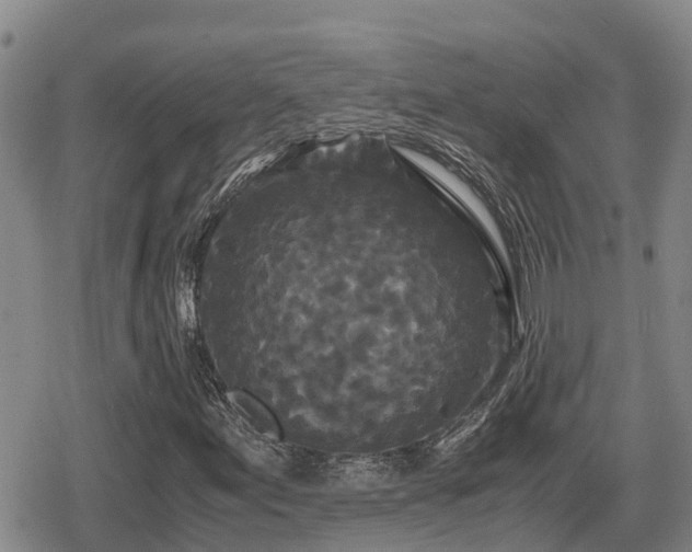 X0000080701155200612221110