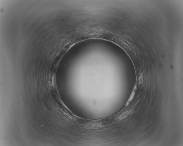 X0000080701156200612221110