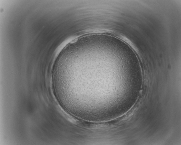 X0000080701187200612221110