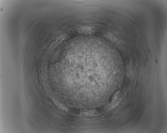 X0000080701201200612221109