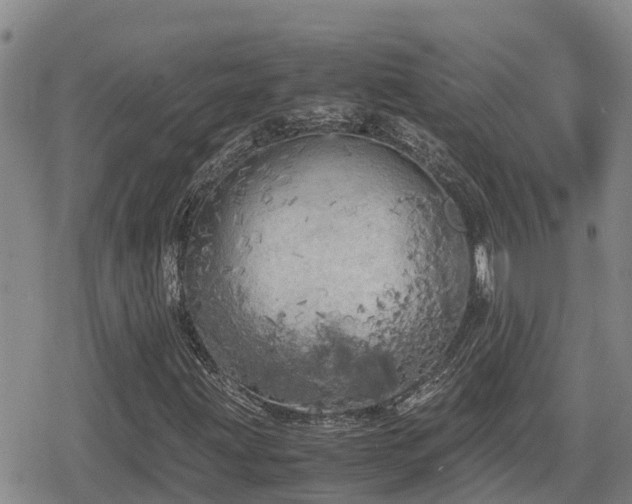 X0000080701203200612221109