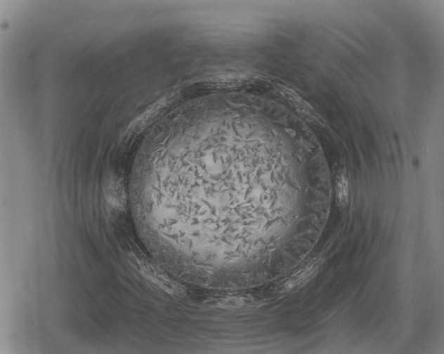 X0000080701204200612221109