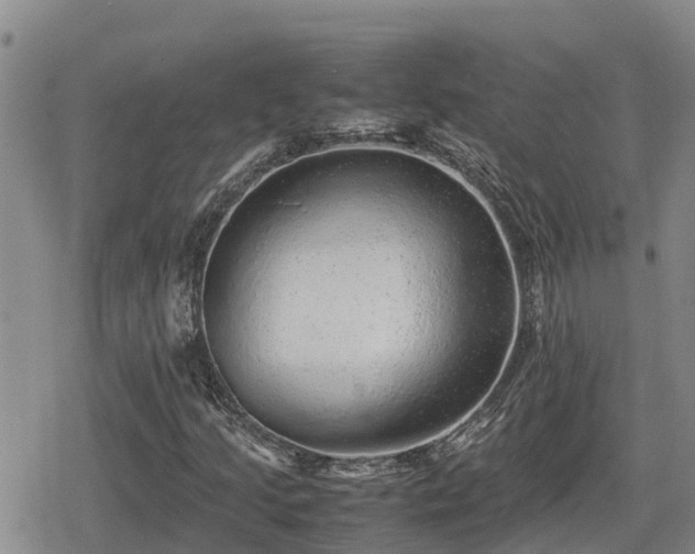 X0000080701205200612221109