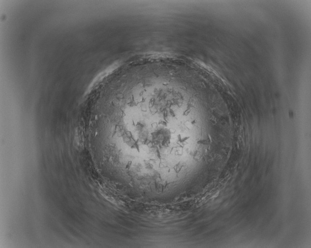 X0000080701207200612221109
