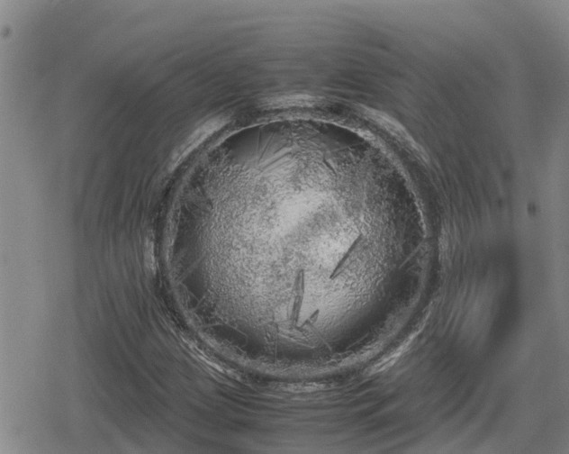 X0000080701209200612221109