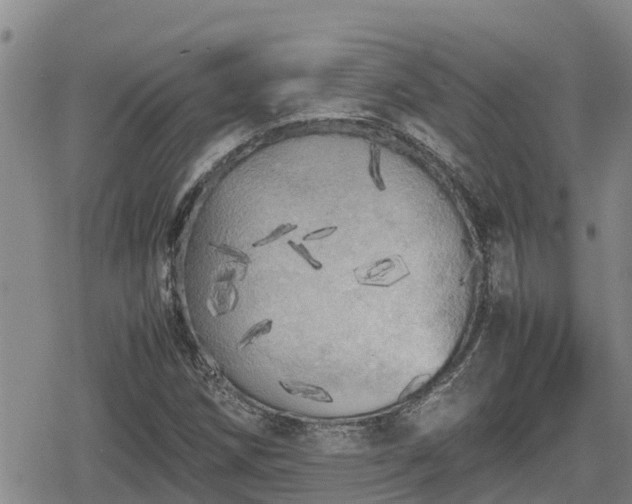 X0000080701258200612221109