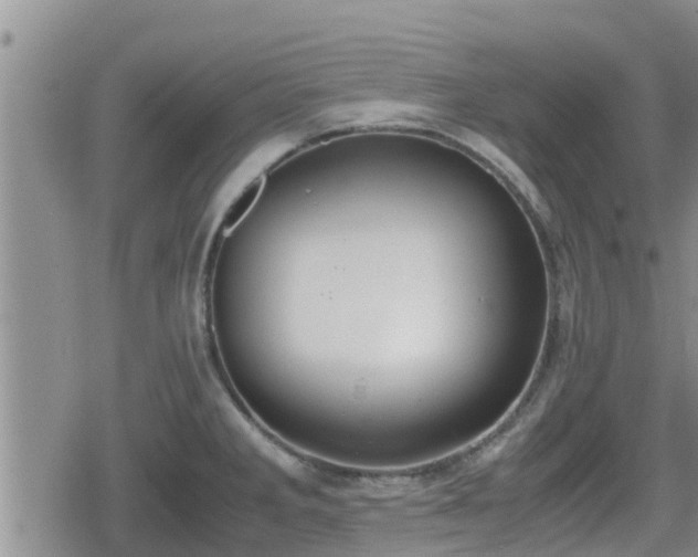 X0000080701285200612221108