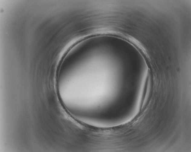 X0000080701334200612221108
