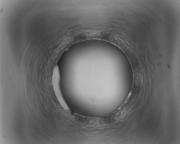 X0000080701345200612221107