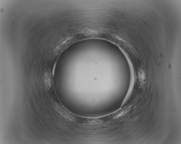 X0000080701348200612221107