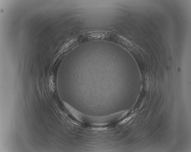 X0000080701394200612221106