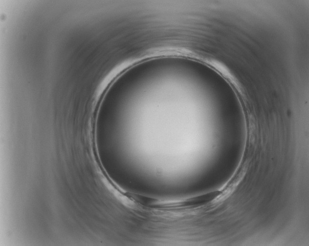 X0000080701438200612221106