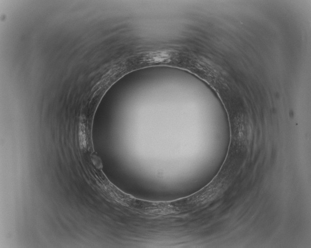 X0000080701442200612221106