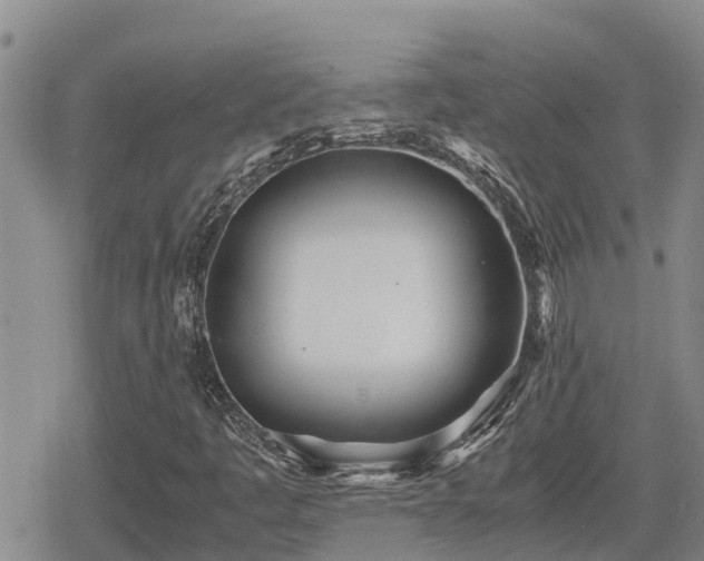 X0000080701445200612221106