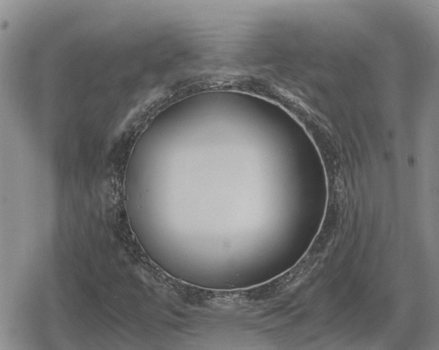 X0000080701447200612221106