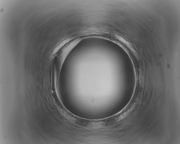 X0000080701453200612221106
