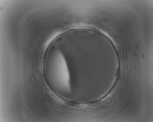 X0000080701463200612221105