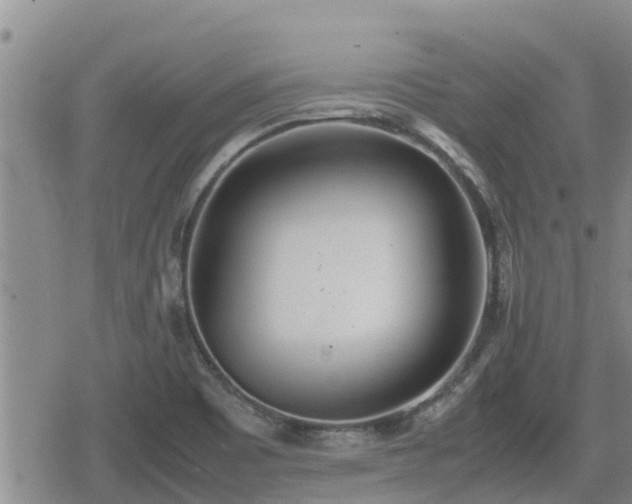 X0000080701465200612221105