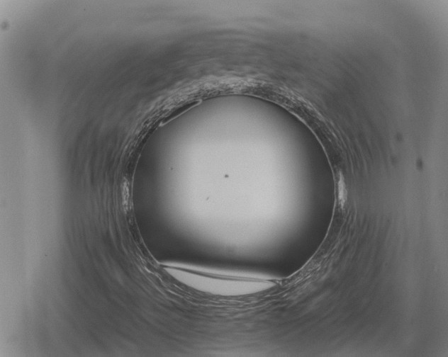 X0000080701492200612221104