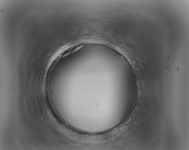 X0000080700008200612301525
