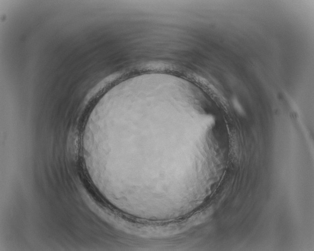 X0000080700016200612301525