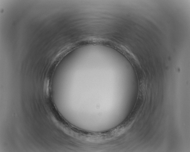 X0000080700024200612301525