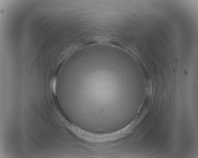 X0000080700047200612301525