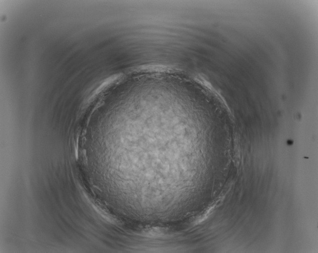 X0000080700062200612301524