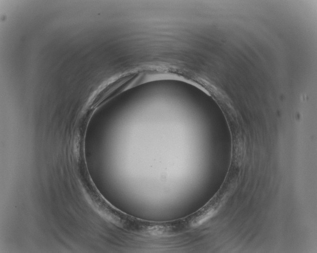 X0000080700064200612301524