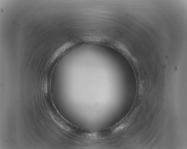 X0000080700068200612301524