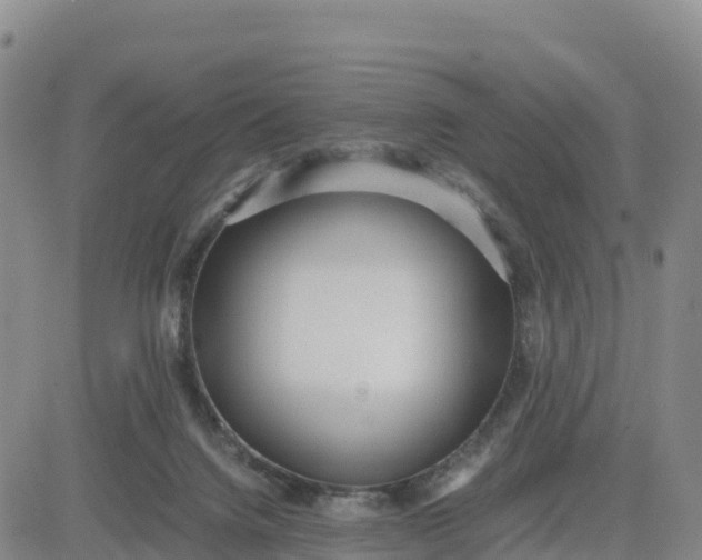 X0000080700072200612301524