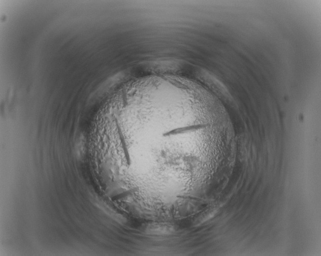 X0000080700077200612301524