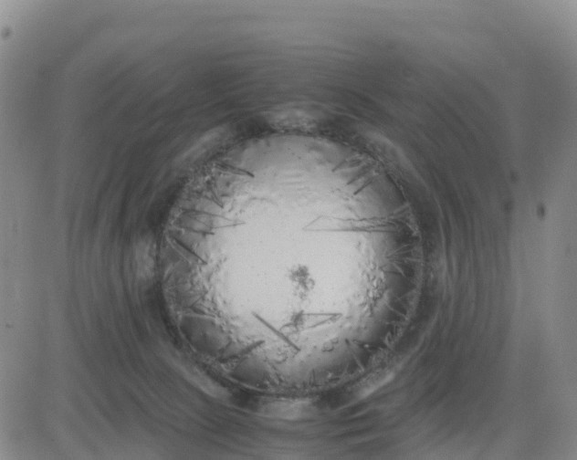 X0000080700081200612301525